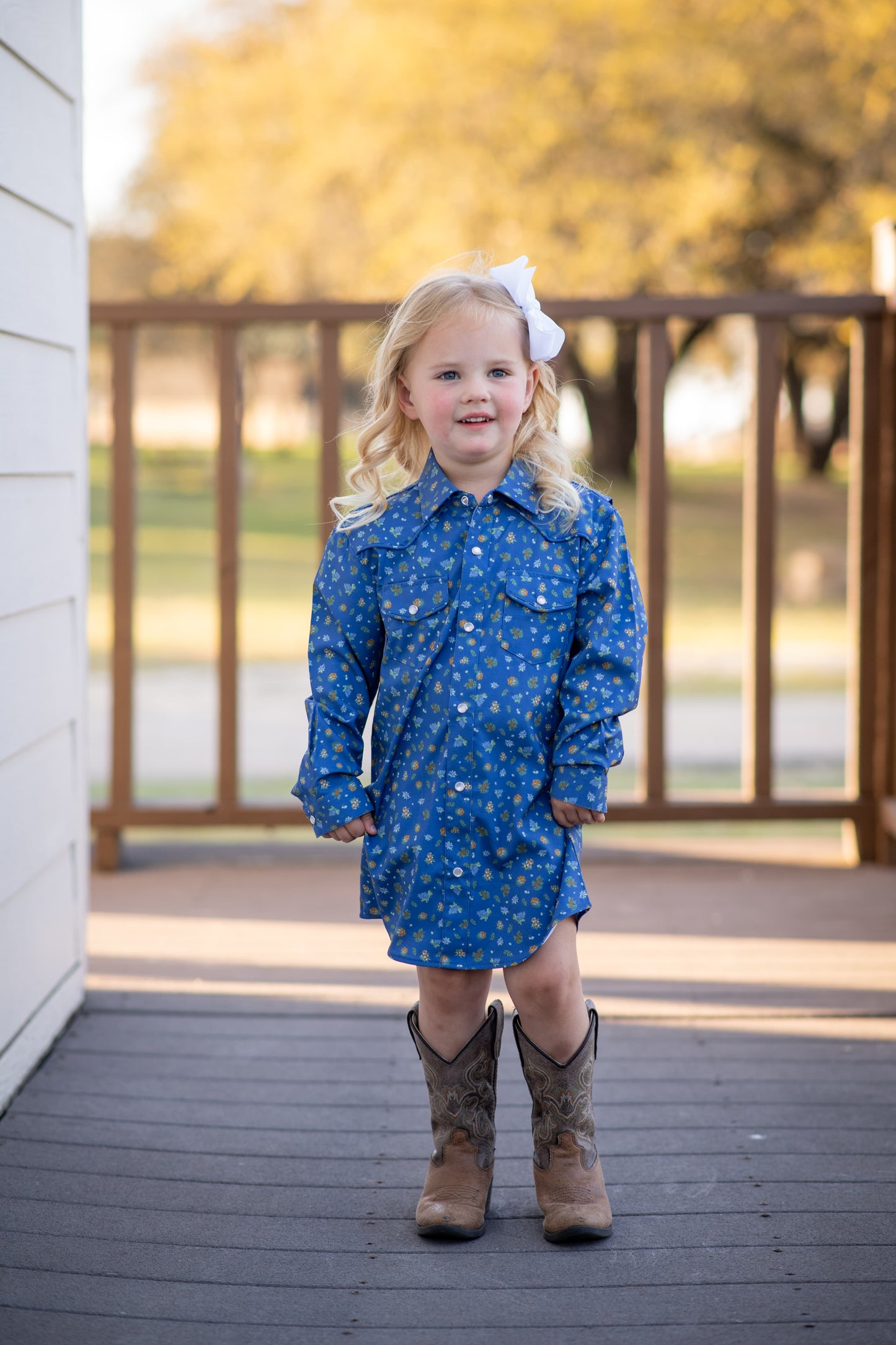 Estacado Pearl Snap Long Sleeve Dress