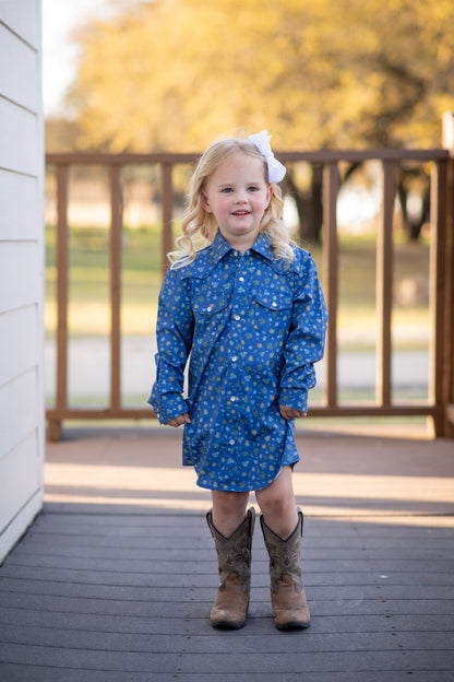 Estacado Pearl Snap Long Sleeve Dress