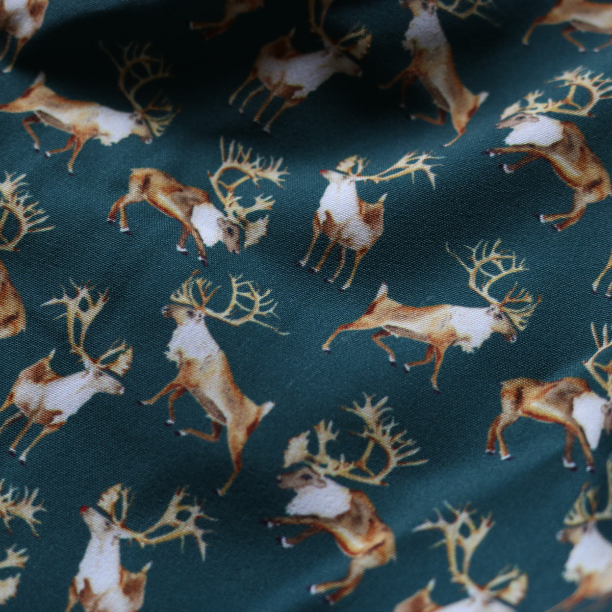 Caribou Long Sleeve Shirt - Ranch Collection | BlueQuail Clothing Co.