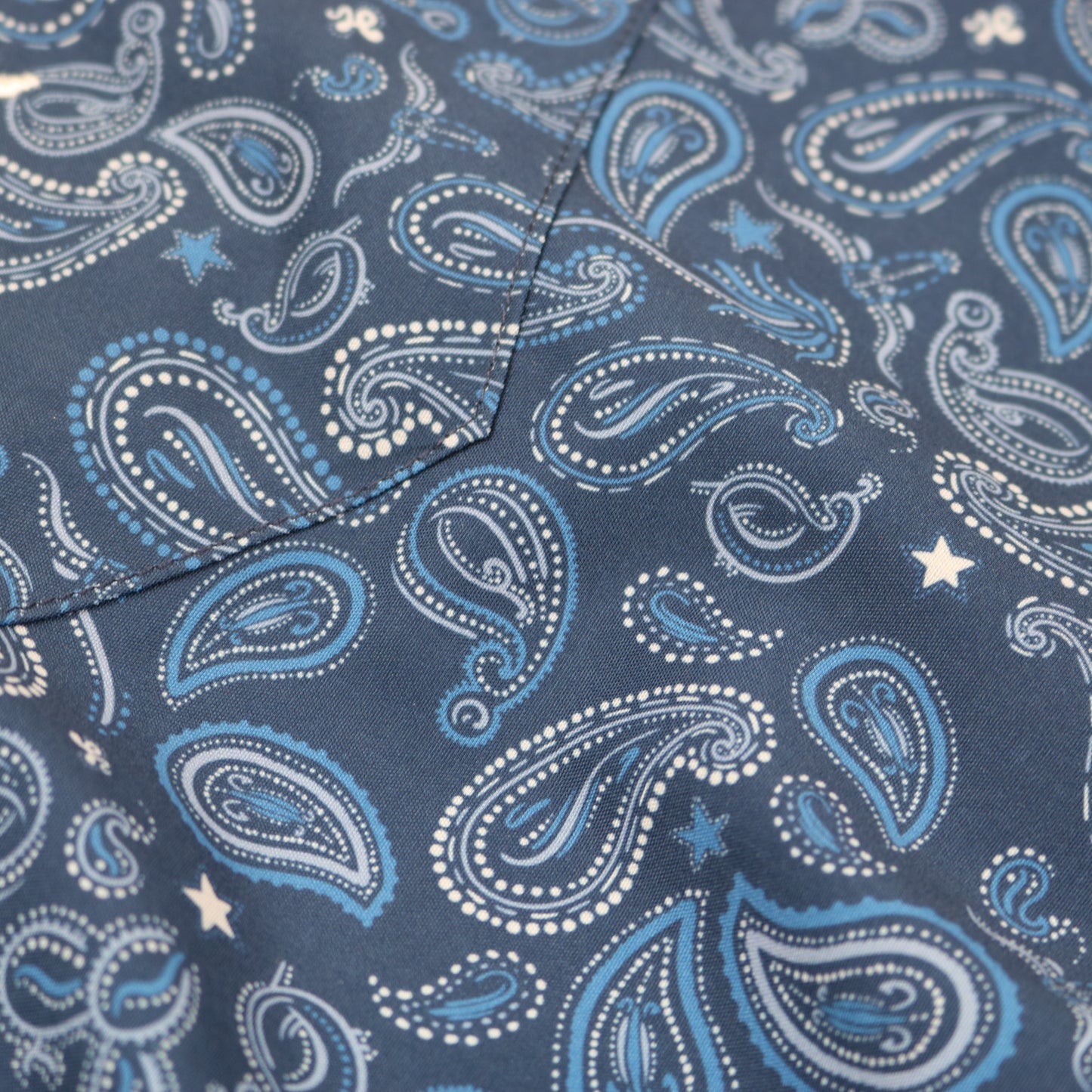 Men's - Navy Paisley Pearl Snap Long Sleeve Shirt