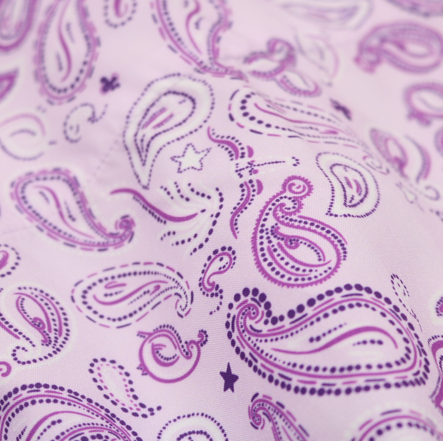 Lilac Paisley Pearl Snap Dress