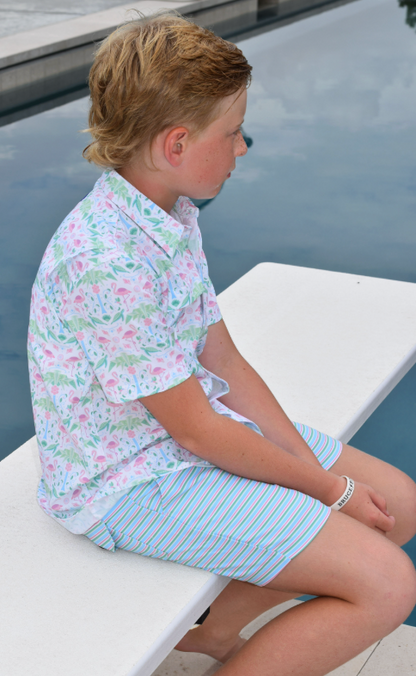 Sherbet Stripe Swim Trunk
