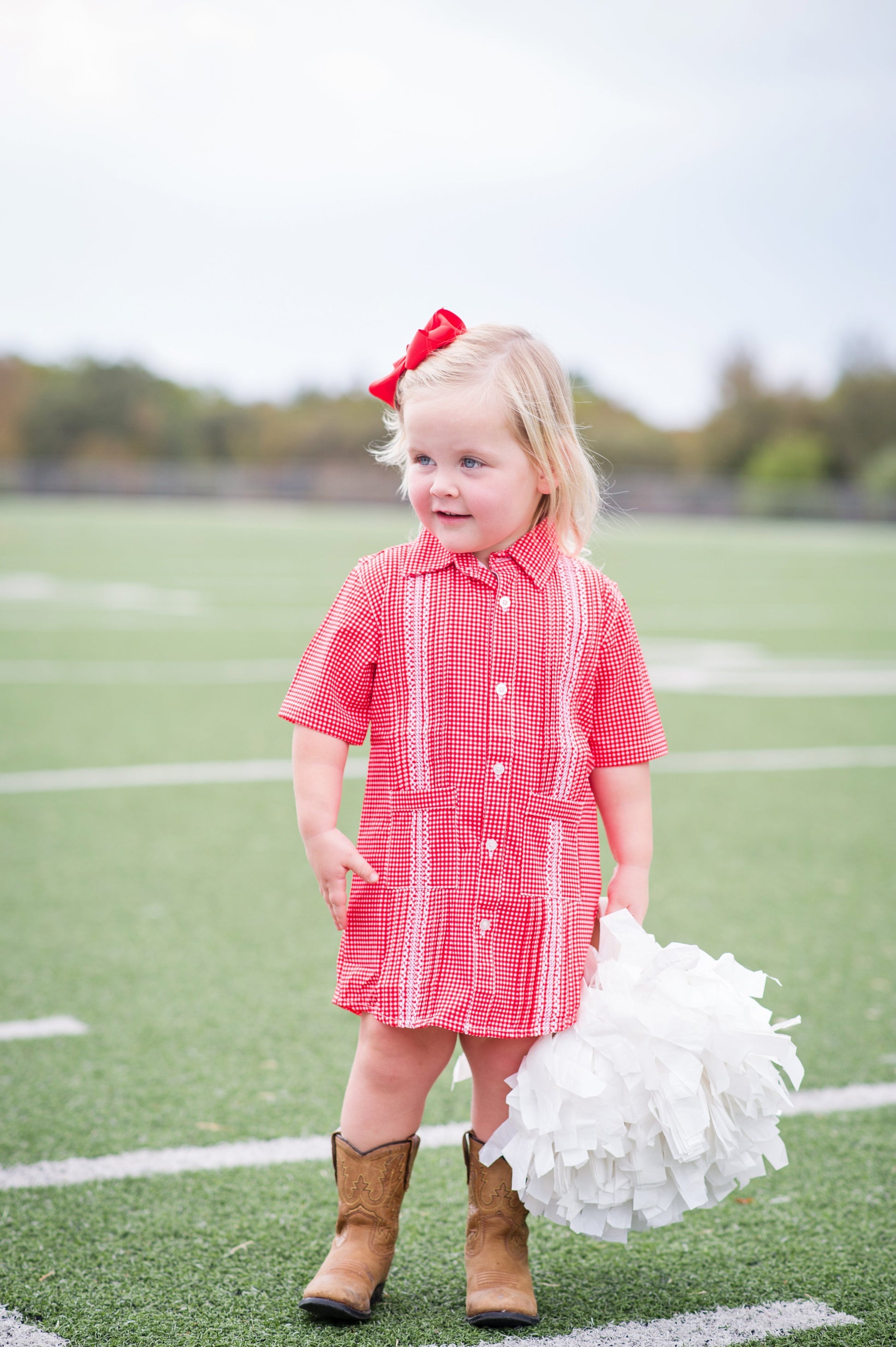 red white and blue gingham dress Riley Gingham Red/Blue Dress